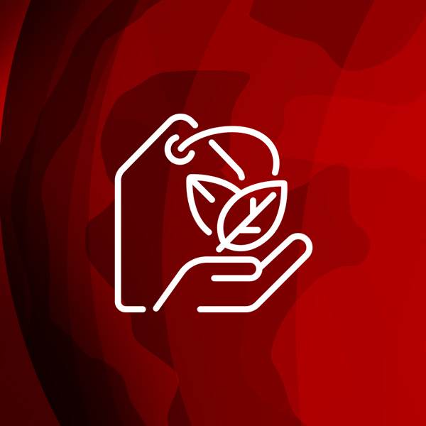 Doğa Dostu Ürünler